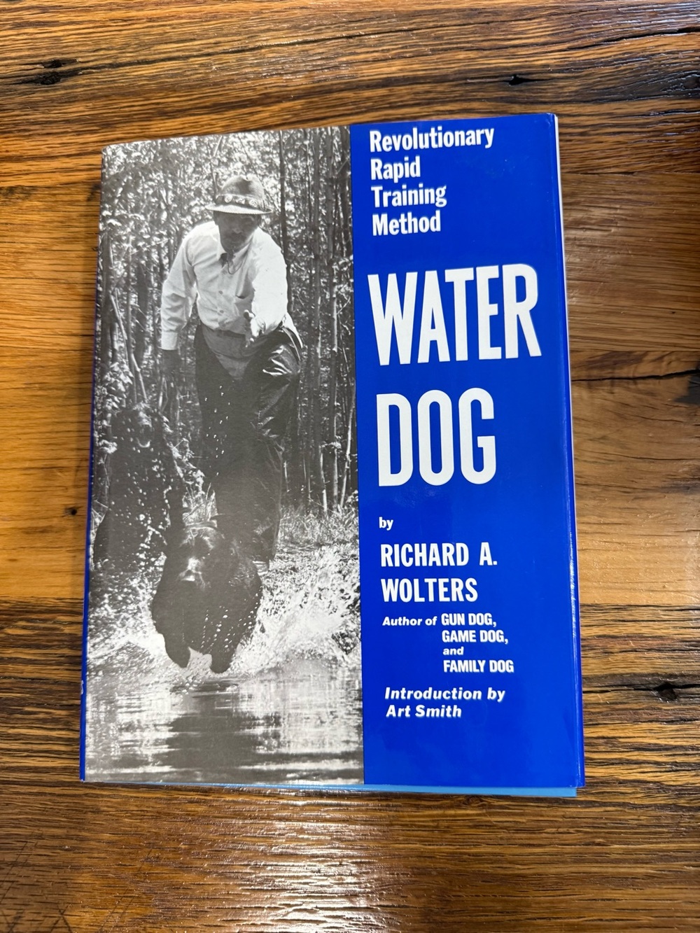 Water Dog by - Blue Cover
